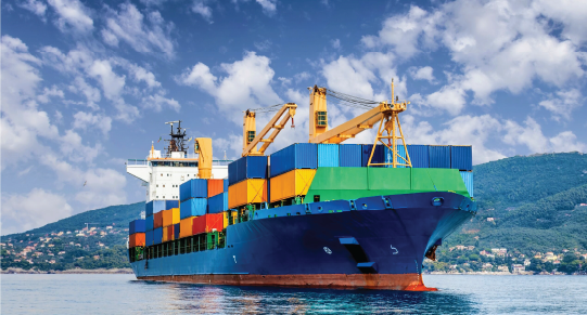 Marine – Bonfiglioli Vietnam